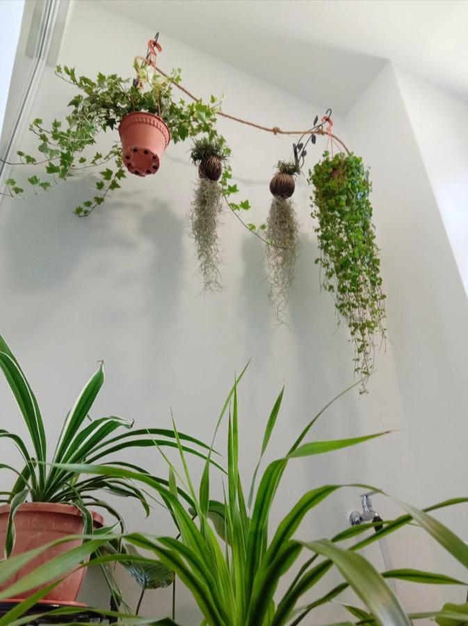 Austin @ Novo 8 Appartement Malacca Buitenkant foto